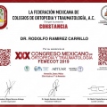 Ampliar imagen: certificate 12