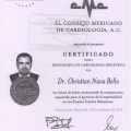 Ampliar imagen: certificate 2