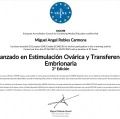Ampliar imagen: certificate 17
