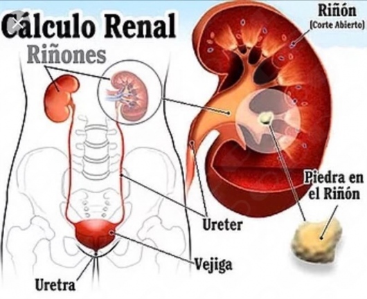 Manuel Quiñones Gamero-5