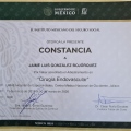 Ampliar imagen: certificate 4