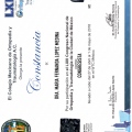 Ampliar imagen: certificate 5