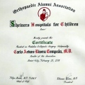 Ampliar imagen: certificate 1