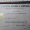 Ampliar imagen: certificate 1
