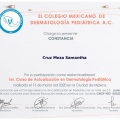 Ampliar imagen: certificate 10