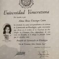 Ampliar imagen: certificate 3