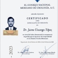 Ampliar imagen: certificate 2