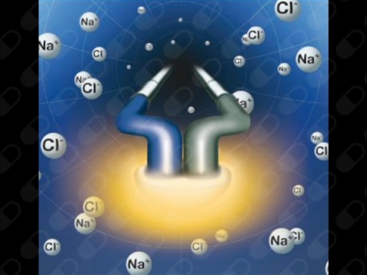 Abner Gonzalez Cortes-0