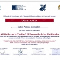 Ampliar imagen: certificate 13