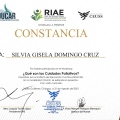 Ampliar imagen: certificate 2