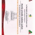 Ampliar imagen: certificate 6