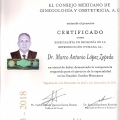 Ampliar imagen: certificate 131