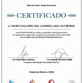 Ampliar imagen: certificate 1