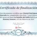 Ampliar imagen: certificate 12