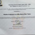 Ampliar imagen: certificate 13