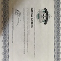 Ampliar imagen: certificate 8