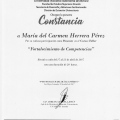 Ampliar imagen: certificate 8