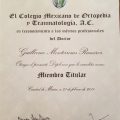 Ampliar imagen: certificate 7