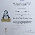 Ampliar imagen: certificate 2