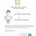 Ampliar imagen: certificate 3