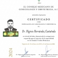 Ampliar imagen: certificate 2