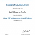 Ampliar imagen: certificate 10