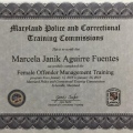 Ampliar imagen: certificate 6