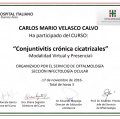 Ampliar imagen: certificate 1