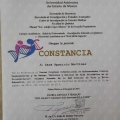 Ampliar imagen: certificate 4