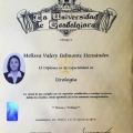 Ampliar imagen: certificate 5