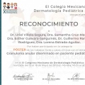 Ampliar imagen: certificate 11