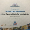 Ampliar imagen: certificate 11
