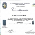 Ampliar imagen: certificate 8