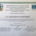 Ampliar imagen: certificate 17