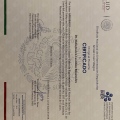 Ampliar imagen: certificate 3