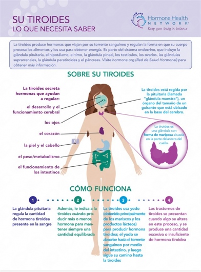 José Antonio Vázquez Galeana-5