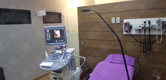 Rodolfo Higareda Sanchez-8