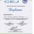 Ampliar imagen: certificate 14