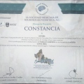 Ampliar imagen: certificate 7