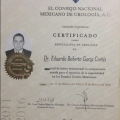 Ampliar imagen: certificate 5