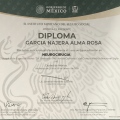 Ampliar imagen: certificate 9
