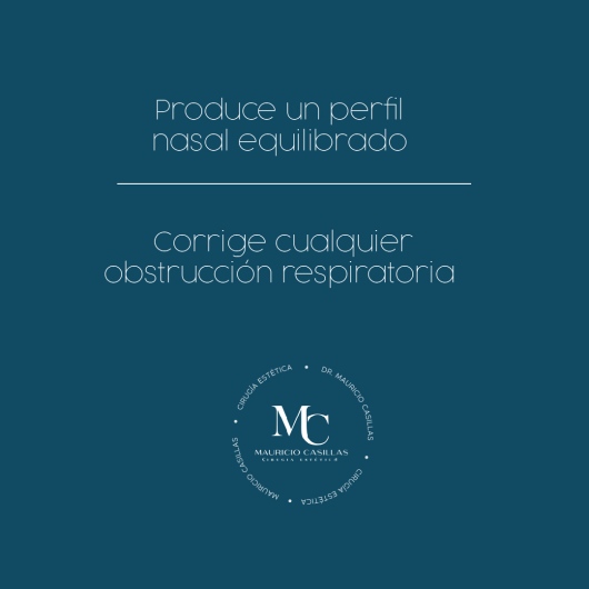 Carlos Mauricio Casillas Ibarra-13