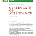 Ampliar imagen: certificate 11