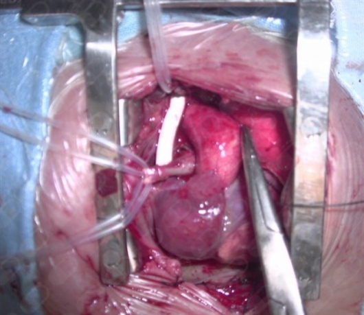 Didier López Pérez-2