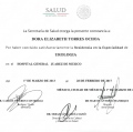 Ampliar imagen: certificate 3