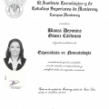 Ampliar imagen: certificate 3