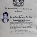 Ampliar imagen: certificate 5