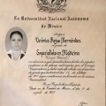 Ampliar imagen: certificate 4