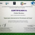 Ampliar imagen: certificate 6