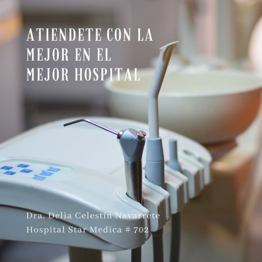 Delia Celestin Navarrete-1